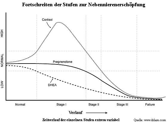 Stufen der Nebennieren-Schwäche / Adrenal-Fatigue